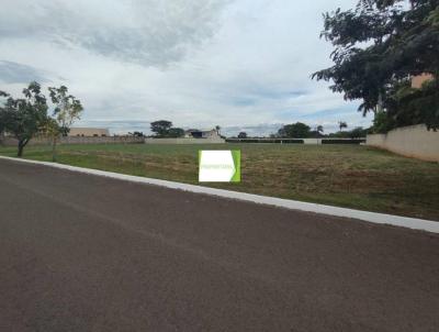 Terreno em Condom�nio para Venda, em Birigui, bairro RODOVIA TEOTONIO VILELA